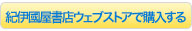 紀伊国屋書店ウェブストアで購入する